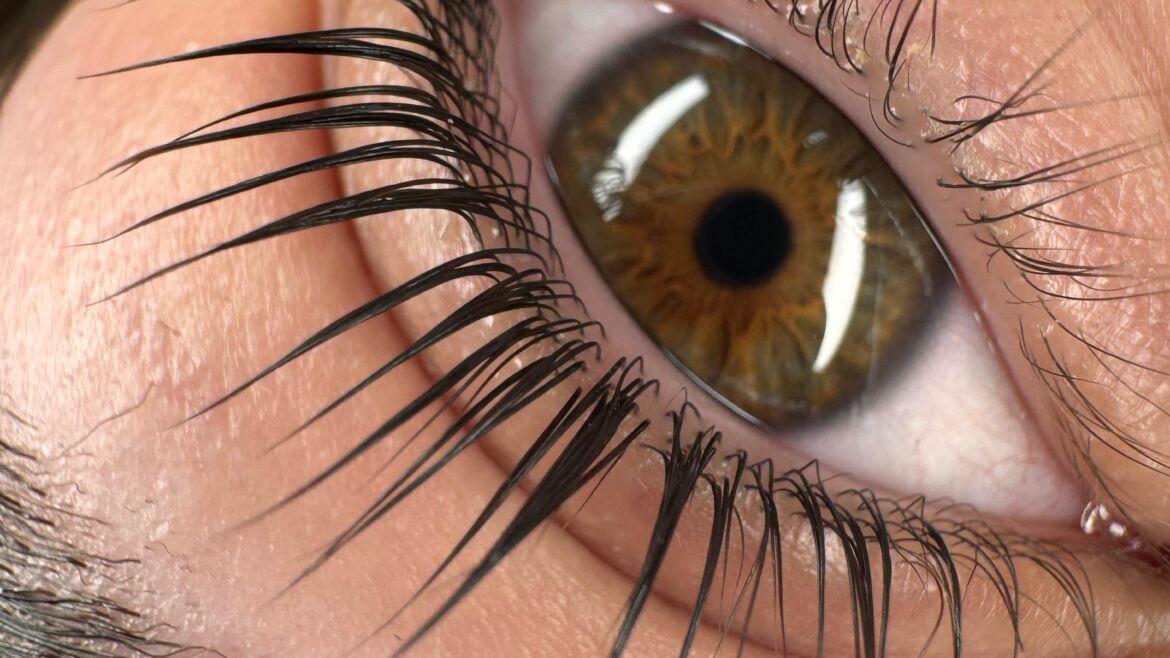 Lash Lifting